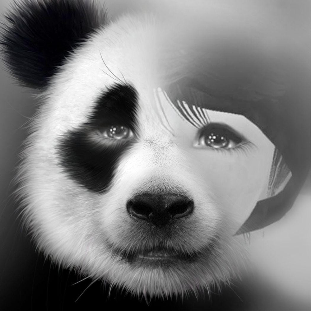 Meet your Posher, Kaden